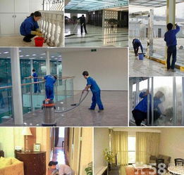 專業(yè)家庭室內(nèi)清掃保潔與鐘點工服務(wù)解析
